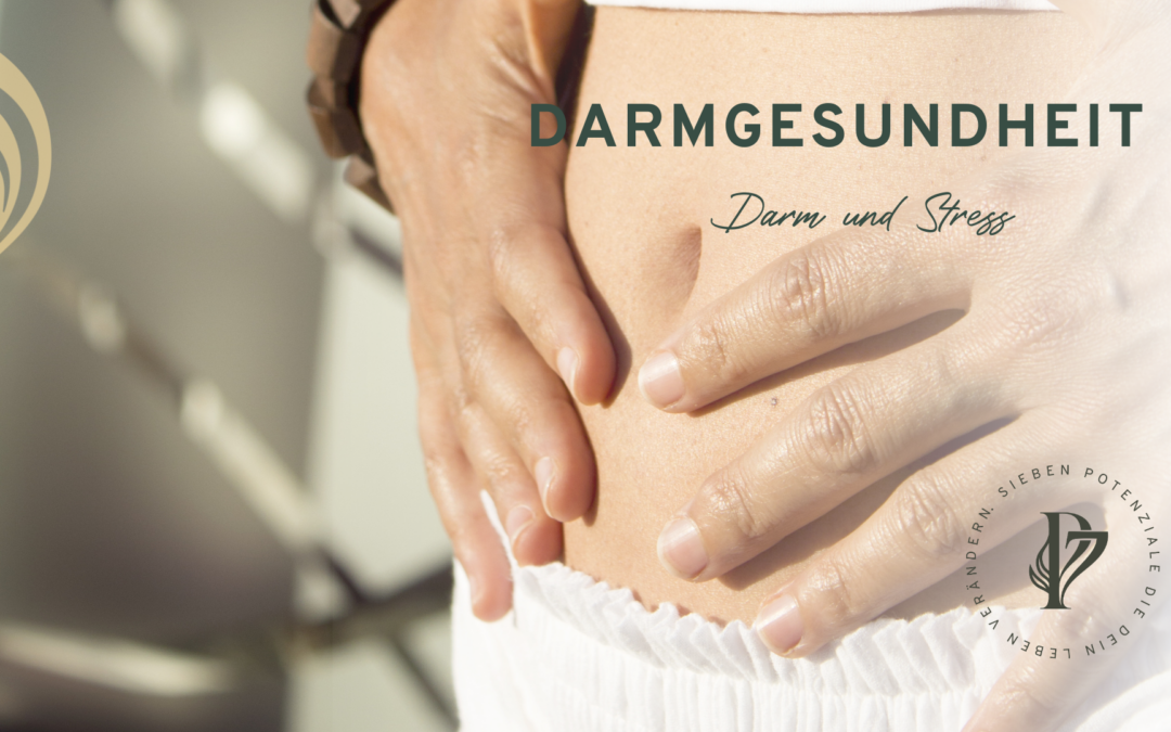 Darmgesundheit: Darm und Stress
