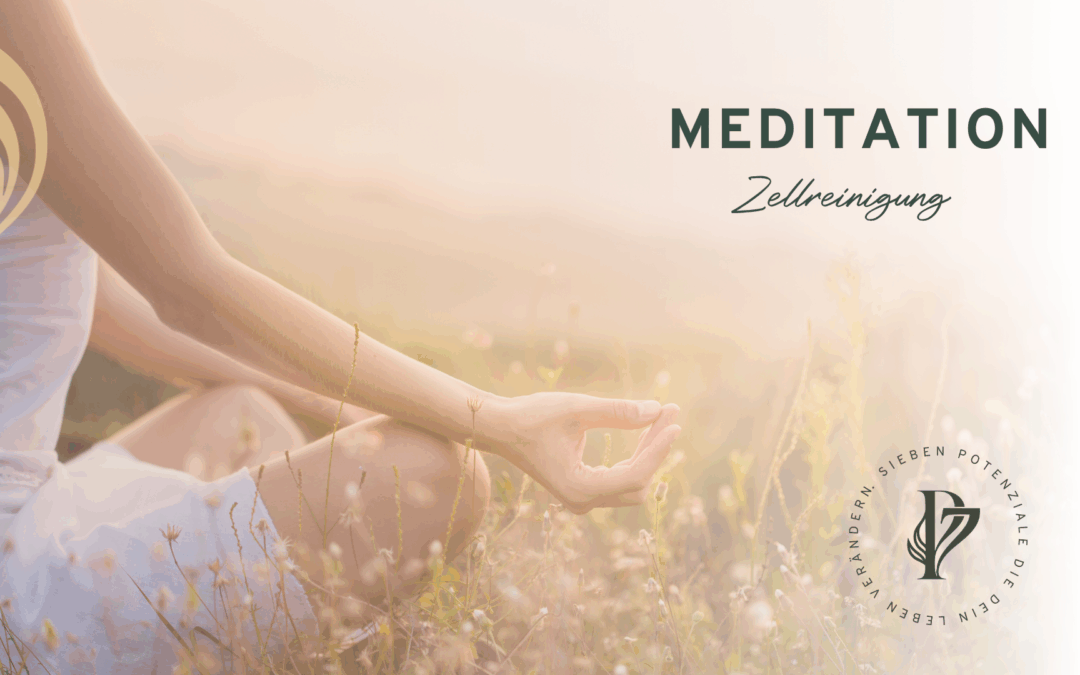 Meditation I Zellreinigung