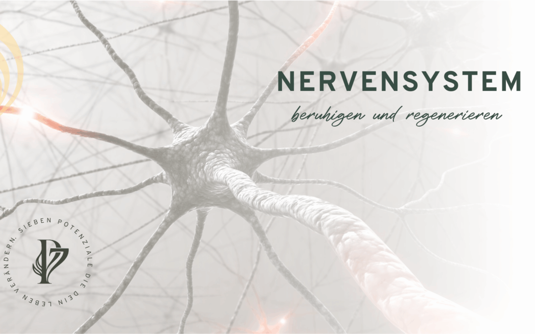 Psyche und Ersch.: Nervensystem beruhigen und Regeneration integrieren