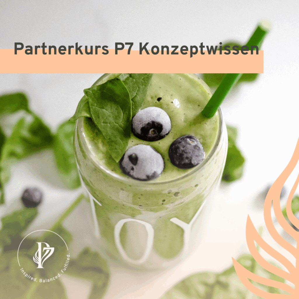 Partnerkurs P7 Konzeptwissen