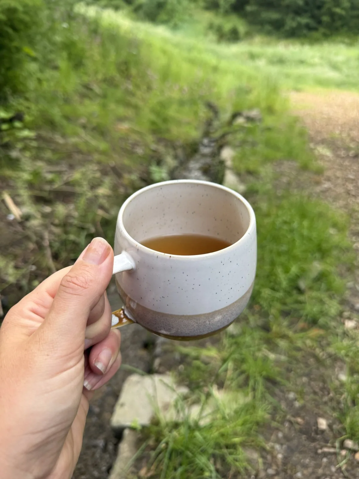 Hand hält eine Tasse Kräutertee über einem Wiesenweg